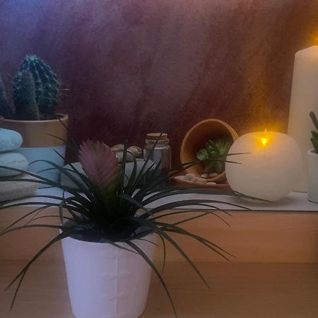 Salle Calme Либорн Екстериор снимка